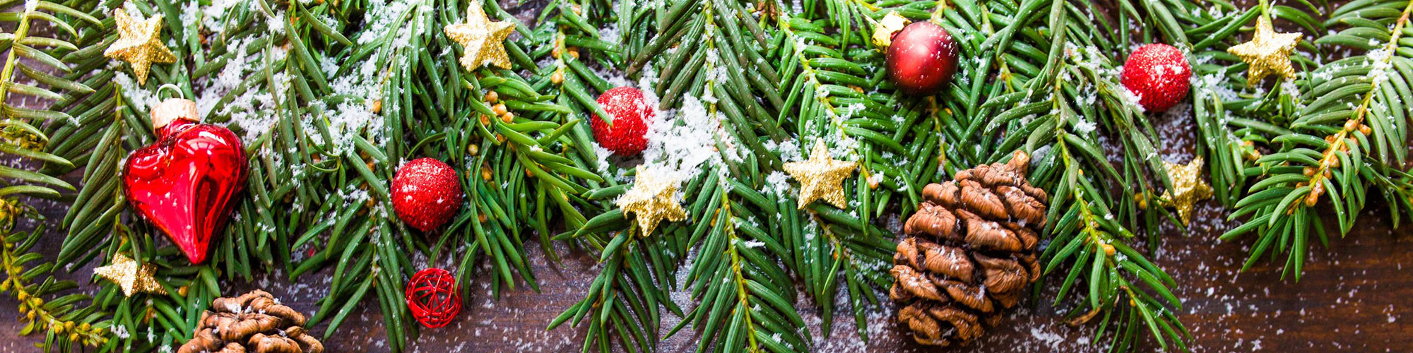 Consorzio Baia S. Reparata