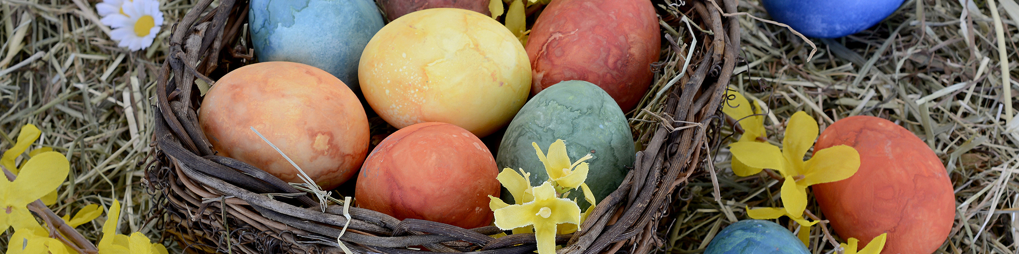 Consorzio Baia S. Reparata